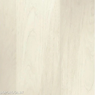 Ламинат EGGER Basic Classic EBL025 Полярный дуб 6/31 (РФ)