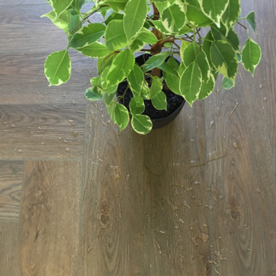 Виниловый пол SPC AFLOOR BM Flooring 600х125 33кл 4мм 4-v BM 005-H