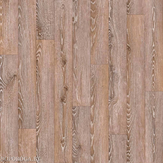 Линолеум Juteks Magnit Gotick Oak 2